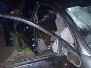 COSAFI secuestró un Ford Ka con dos terneros faenados sin documentación