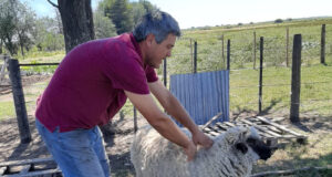 Realizaron la primera visita a un proyecto ovino que se desarrolla en la zona rural de Naschel
