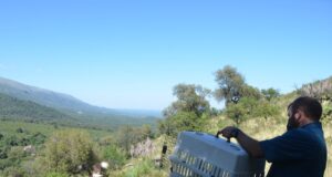 La Reserva Natural Mogote Bayo fue escenario de la liberación de distintos animales recuperados