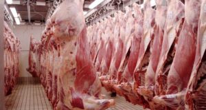 ¿Cómo se conforma el precio de la carne, desde Liniers hasta que llega a góndolas y carnicerías?