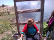 La actividad de doña Chona, de Potrerillos, en época de pandemia
