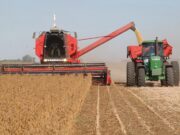 El campo aportará más de USD 40.000 millones a la economía a través de la actual campaña agrícola