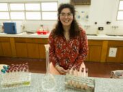 San Luis: diseñan un dispositivo para remover el arsénico del agua