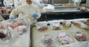 Enero de 2021: exportaciones de carne vacuna argentina