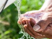 El acceso al agua contribuye a disminuir el trabajo infantil en las zonas rurales