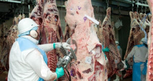 Las exportaciones de carne vacuna argentina durante enero fueron 12% menores a las de hace un año
