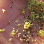 unnamed (2)