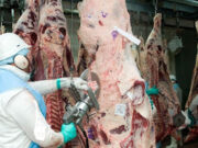 Exportaciones de carne de febrero fueron 5,1% superiores a las del mismo mes del año pasado