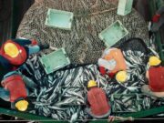 Acordaron operar un sistema de control de buques pesqueros