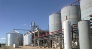 Biocombustibles: reunión entre el Ministerio de Producción, directivos de Diaser SA y diputados nacionales