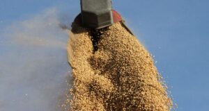 Datos clave de la importancia de la cadena soja en la economía nacional