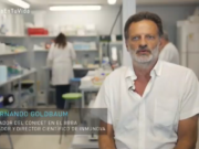 El suero equino puede ser un gran aliado en la segunda ola de COVID-19