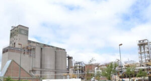 Ledesma amplió ganancias por la venta de Glucovil a Cargill