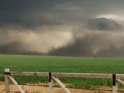 Qué efectos deja en la cosecha el último temporal de más de 250 mm en la región núcleo