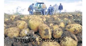 Tasa 0 de Ingresos Brutos a la papa y al resto del sector primario de Mendoza