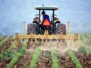 De las 207 millones de hectáreas, el 82% se destina a uso agropecuario y forestal