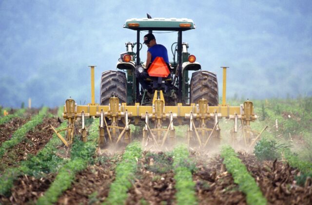 17 - 04 - censo agropecuario 3