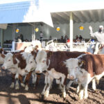 174778238_1690116037857332_5459729293516268822_n