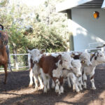 175540634_1690119674523635_574146609026562613_n