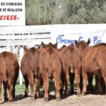 176162536_1689295851272684_5447153833609286027_n