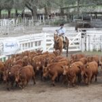 176249760_1689305854605017_4557627414413176167_n