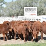 176291044_1689296734605929_8376944612420495293_n