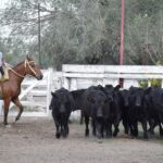 176334590_1689296081272661_3055609394320239424_n