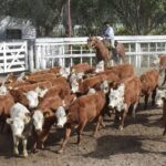 176337486_1689306317938304_8918917334248509785_n