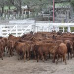 176449341_1689305474605055_8702969063496216822_n