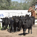 176458846_1689288751273394_5547711163873667195_n