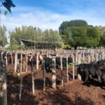 176490641_838084623449689_8983666238444258604_n