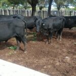 176518960_838084556783029_3220982987402550873_n