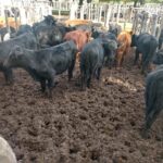 176518960_838084646783020_4380470269854158873_n