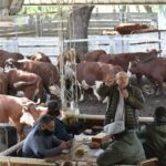 176640439_1690119664523636_4242291398154254316_n