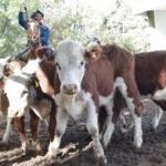 176769631_1690116401190629_437068806391571875_n