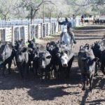 176896570_1690119311190338_4992154298359453161_n