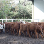 176932292_1690116321190637_3910279143594531809_n