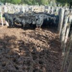 176990677_838084673449684_5798011672140891514_n