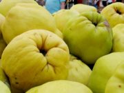 Membrillo: una delicia saludable y de calidad para aprovechar en el otoño