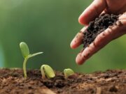 Cuáles serán los ejes temáticos que tendrá el 2° Congreso de Agroecología