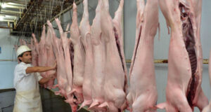 Las exportaciones de cerdo aumentaron un 75% interanual en el primer bimestre