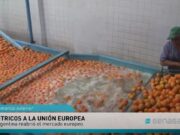 Los cítricos argentinos vuelven a ingresar en la Unión Europea