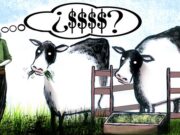 ¿Alargar la recría hace viable el feedlot?