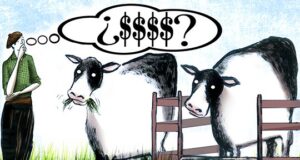 ¿Alargar la recría hace viable el feedlot?