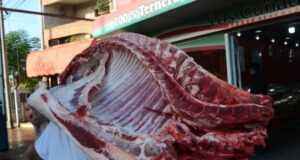 Adiós a la media res: desde enero solo se podrán vender trozos de carne de no más de 32 kilos