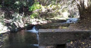 San Luis Agua mejoró la circulación del Canal Estancia Grande