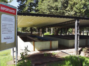 La Estación de Piscicultura “La Florida” recibió ejemplares reproductores de truchas