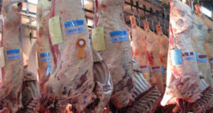 Las exportaciones de carne de marzo fueron superiores en volumen a las de marzo de 2020, pero con precios inferiores.