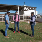 Frigorifico-Agencia-1