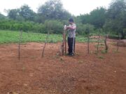El INTA impulsa una red de pluviómetros de productores rurales en Los Llanos de La Rioja